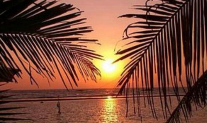 Coral Reef Guest Hotel Beruwala Bagian luar foto